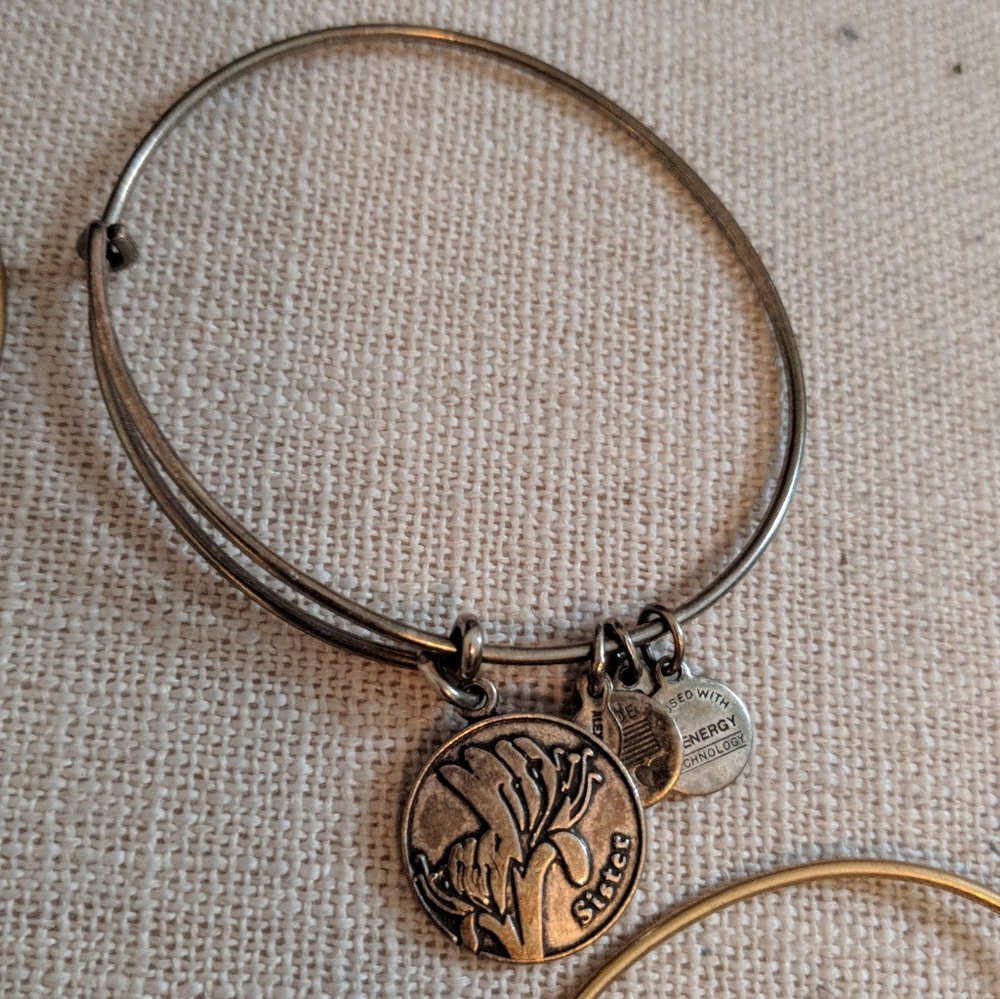 Silver sister alex and ani